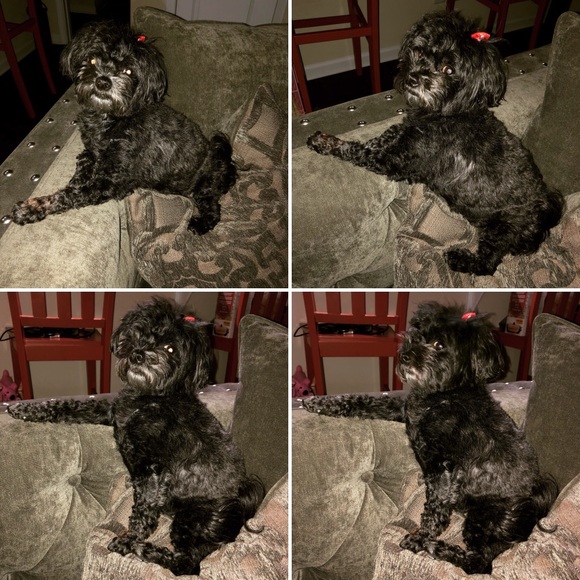 Meet your Posher, Stacie - Picture 9 of 16